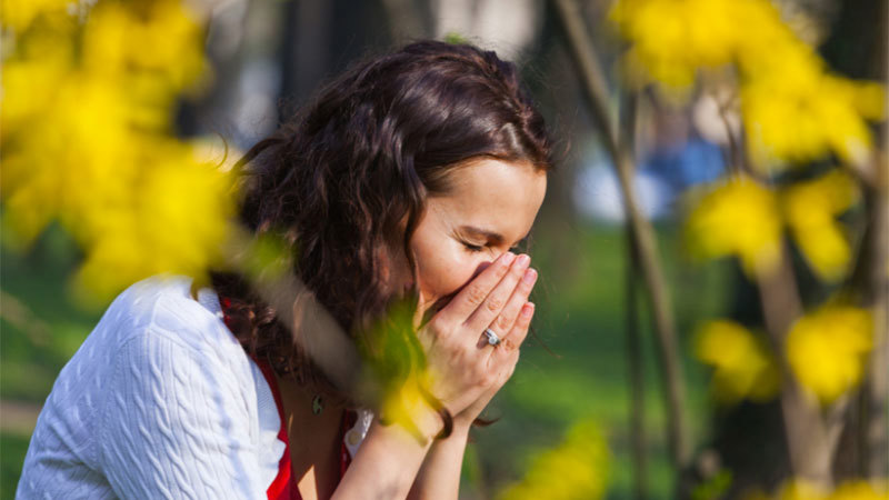 Hay Fever