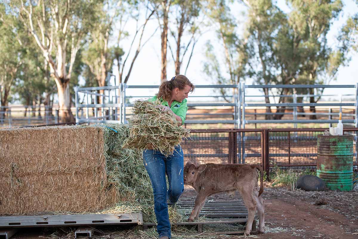 woman carrying hay