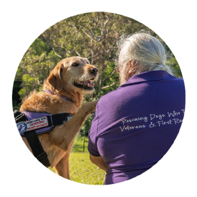 Man with PTSD care dog